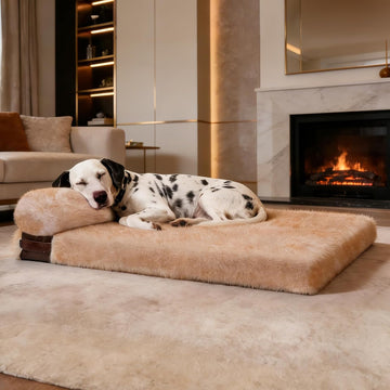 Orthopedic Dog Bed 43.3"x31.5"x3.8" 2XL with Pillow