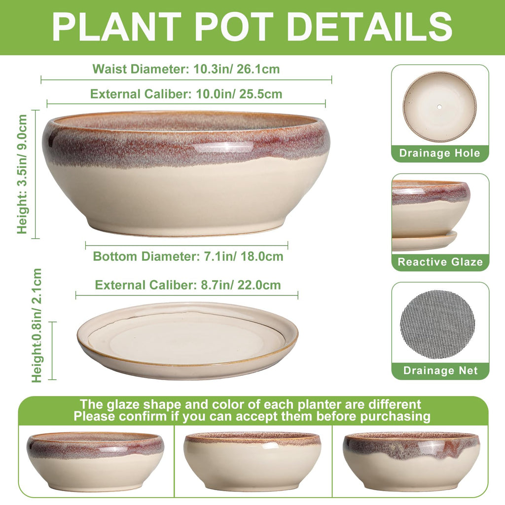 Bonsai Tree Pots - 10 Inch Ceramic Succulent Pots, Round Shallow Planter with Drainage Hole and Tray, Bowl Planter