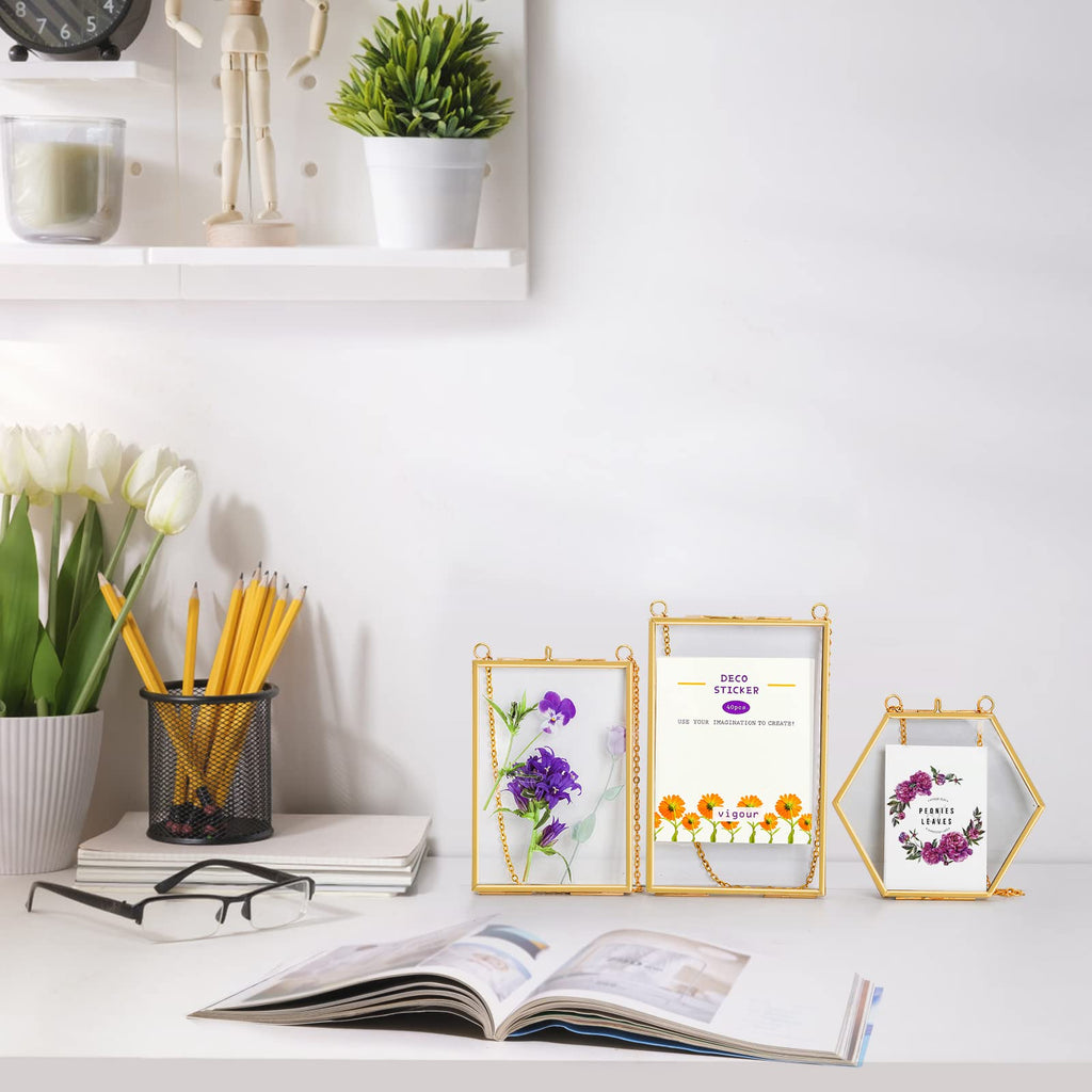 3 Pack Pressed Flowers Glass Frames, Brass Hanging Picture Frames with Chain, Small Golden Floating Photo Frame