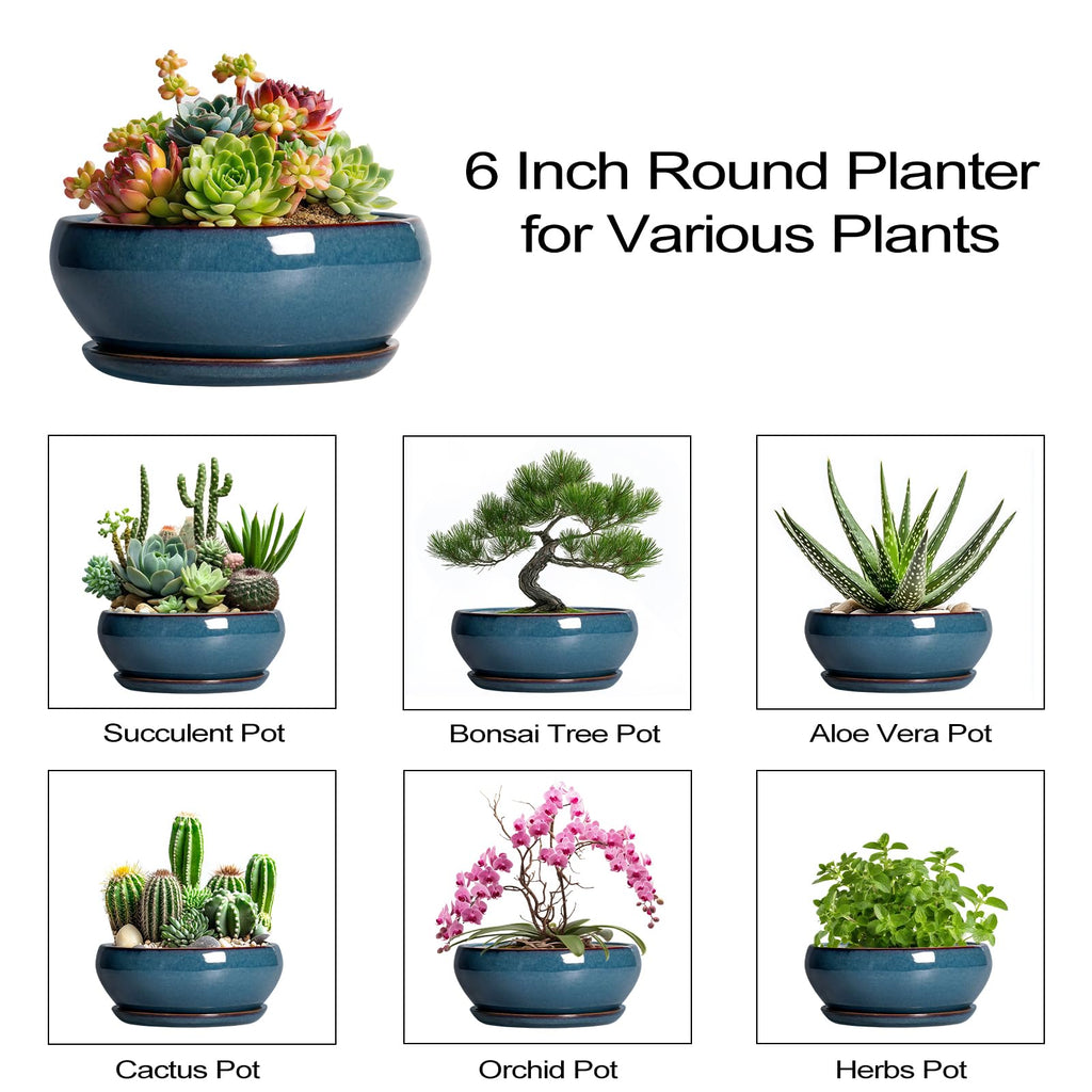 Succulent Pots - 6 Inch Ceramic Bonsai Pots, Shallow Planter with Drainage Hole and Saucer, Modern Round Planter for