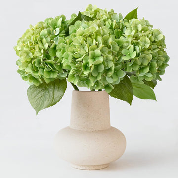4PCS Green Fake Real Touch 20'' Lifelike Latex Artificial Hydrangeas for Spring Home Decor Outdoor Garden Porch