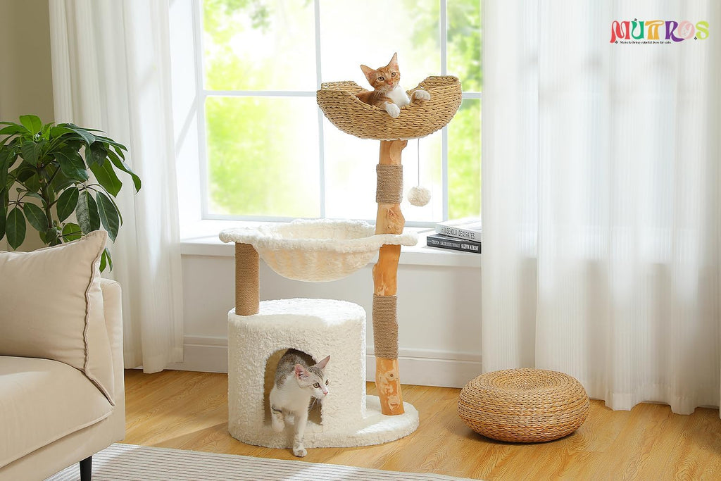 Modern Cat Tree for Large Cats, Wood Cat Tower for Indoor Cats, Real Branch Luxury Cat Furniture with Super Large