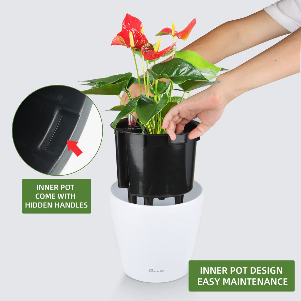 9x8 Self Watering Planter (White High Gloss)