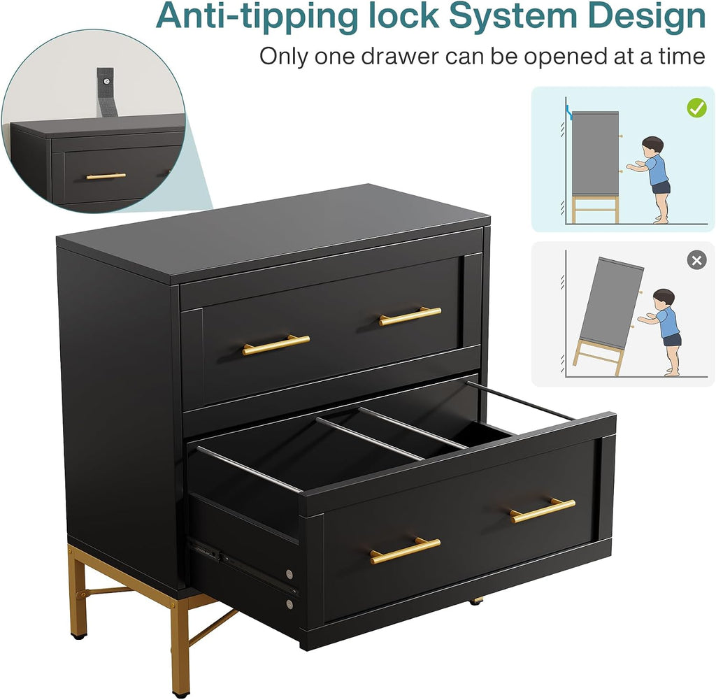 2 Drawer File Cabinet, Modern Wood Lateral Filing Cabinet for Letter/Legal/A4 Size, Large File Storage Cabinets