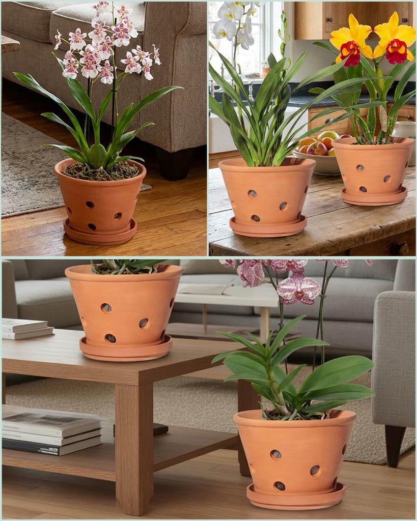 8 Inch Terracotta Orchid Pots with Holes and Saucers - 2 Pack Clay Orchid Planter Pots for Repotting, Breathable
