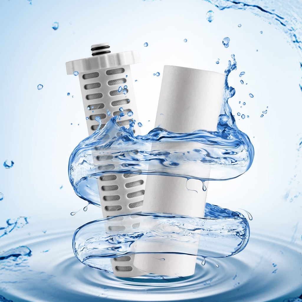 Shower Filter 720-Plus with replaceable cartridges, shower head filter with Double Filters, remove 99% chlorine