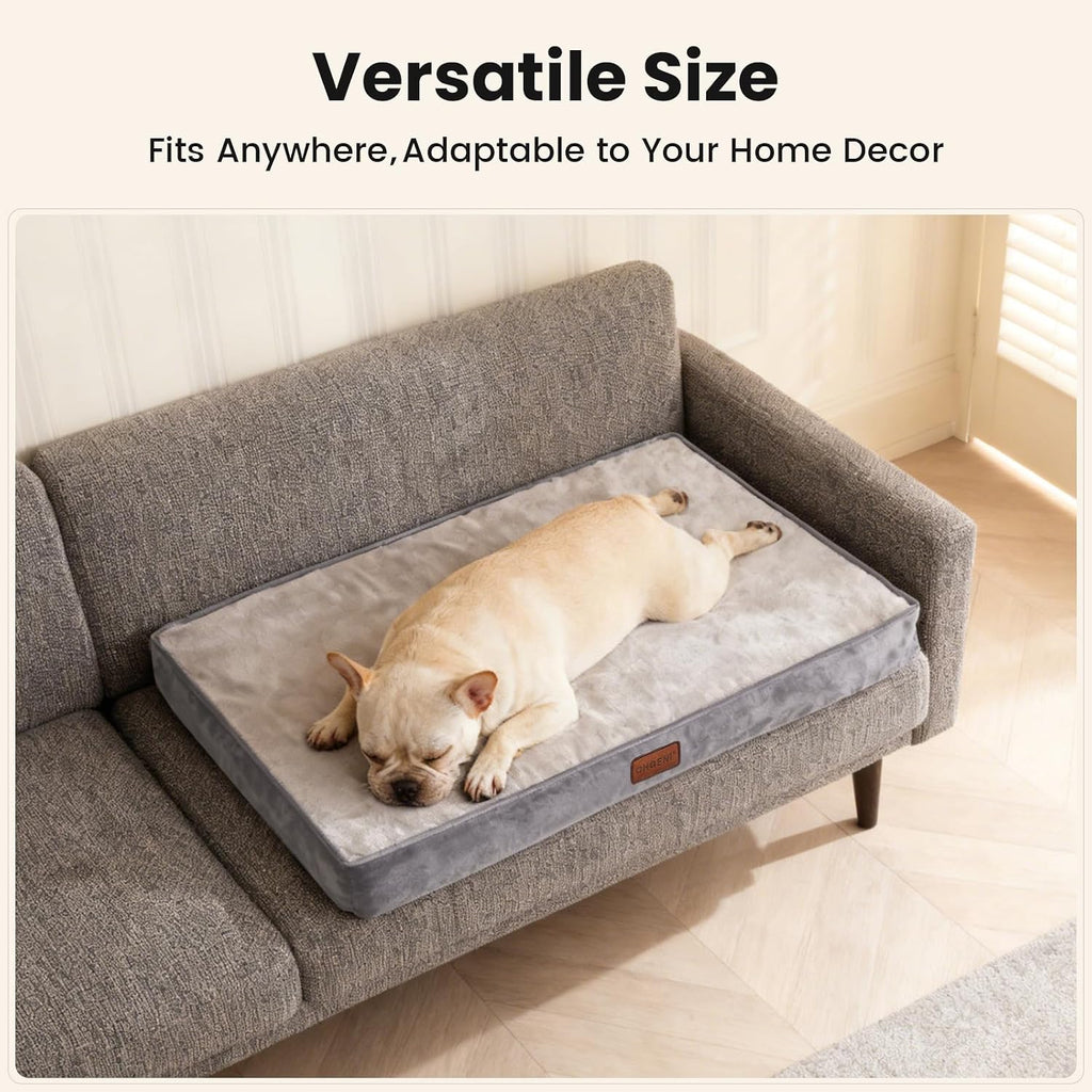 Orthopedic Medium Dog Bed, Reversible Memory Foam, -M(Gray)