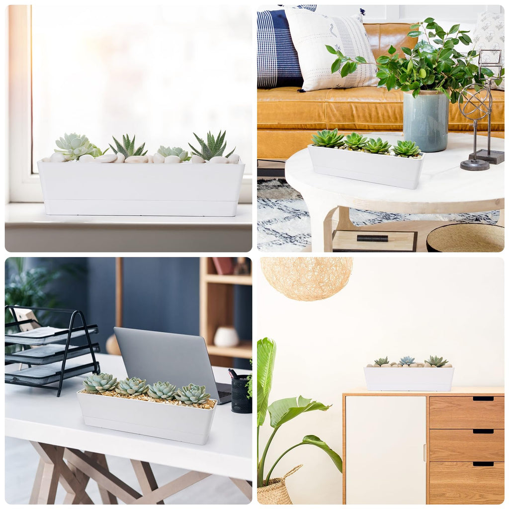 Long Window Boxes Planters, 6 Pack 16x3.8 Inch Vegetable Box Pot with Tray, Indoor Succulent Cactus Flowers Plastic