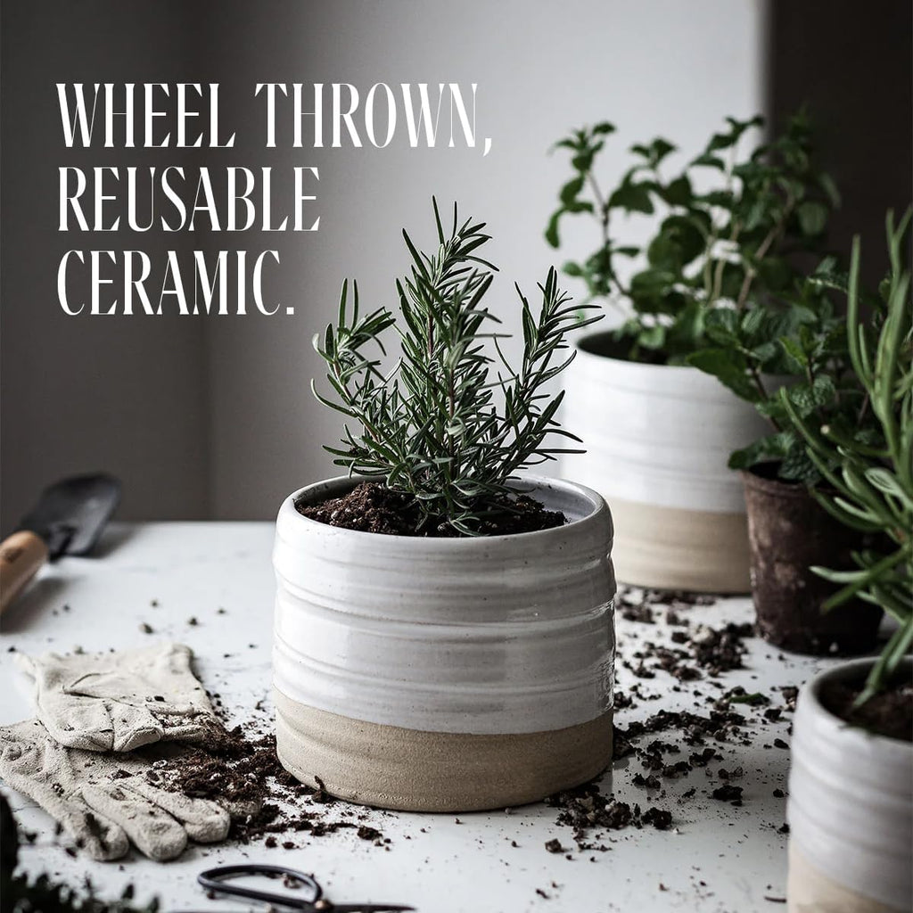 EAU/Water Candle - Bergamot, Orange Blossom & Aquatic Notes | Wheel Thrown Reusable Ceramic Vessel | Hand-Poured - Set of 12