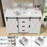 47.2 Inch Bathroom Vanity with Sink Combo, Farmhouse Sliding Barn Door Bathroom Vanity Cabinet