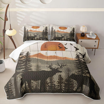 Bear 3 Piece Quilt Set King