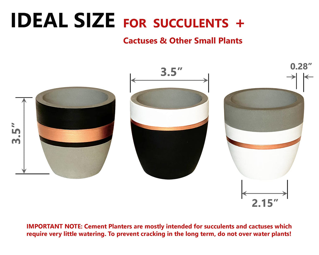 Hand Painted Indoor Plant Pots, Set of 3 Modern Cement Succulent Pots with Drainage, Best Planters for Cactus, Herbs