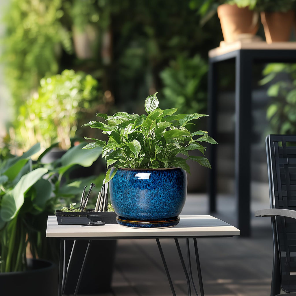 Ceramic Planter 8 Inch - Pot for Indoor Outdoor Plants Round Ceramic Plant Pot with Drainage Hole and Saucer Modern
