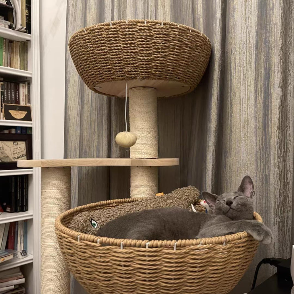 Modern Wood Cat Tree for Large Cats, Luxury Rattan Oak Solid Cat Trees Towers, 3 Weaving Cat Nests & Washable Cushions