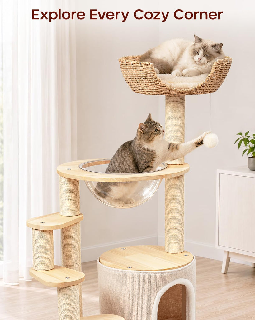 Solid Wood Cat Tree for Kitten & Munchkin, Modern Cat Tower with Low-Rise Steps, Indoor Multi-Level Aesthetic Boho