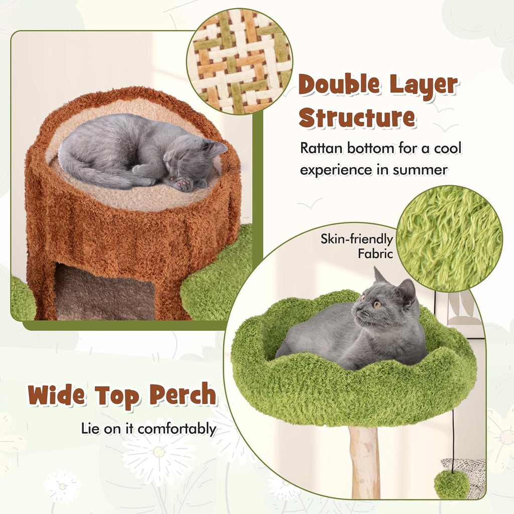 Solid Wood Cat Tree, Cute Cat Tower with Scratching Posts, 2-Tier Tree Hole Cat Condo, Wood Branches, Sisal Panel