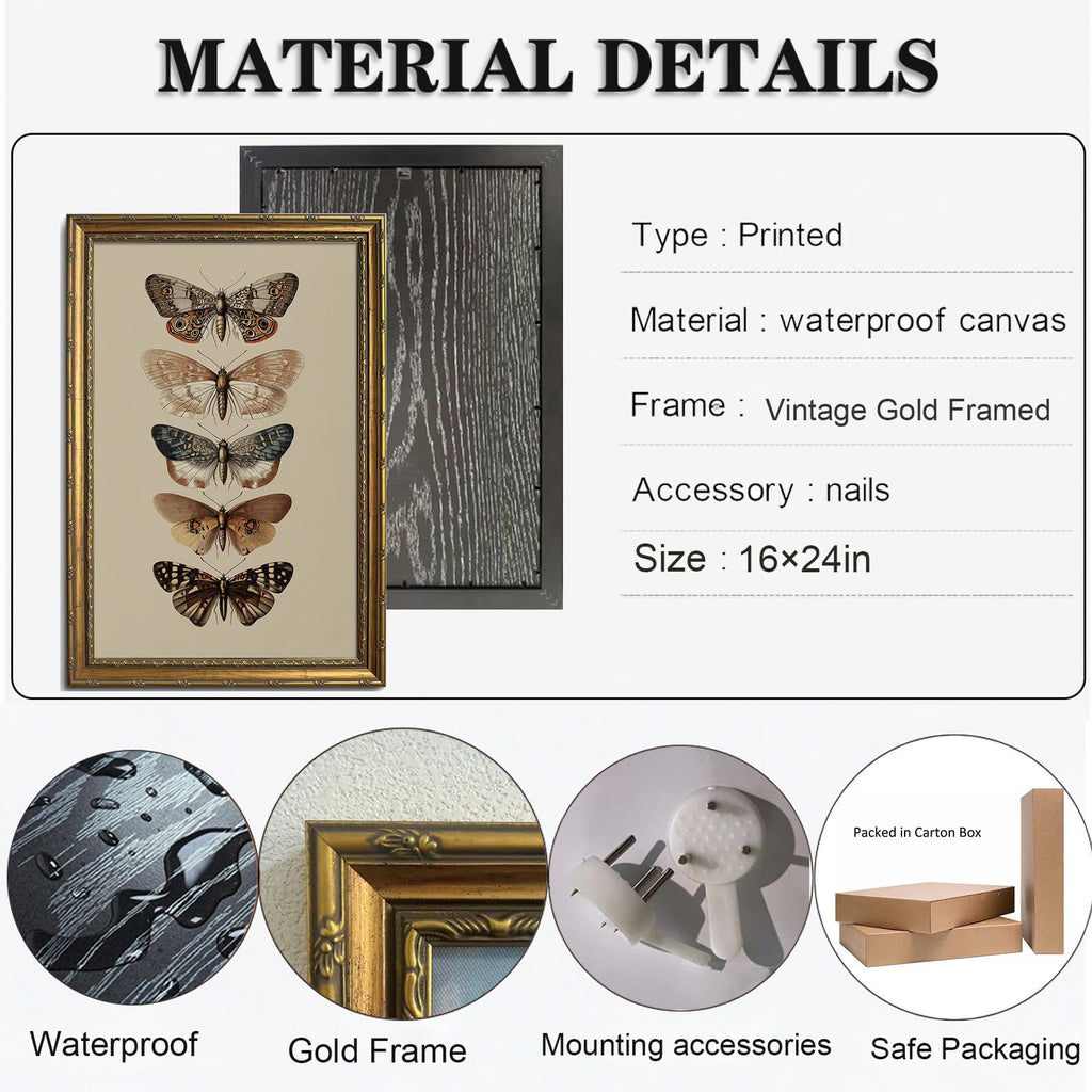 Vintage Gold Framed Butterflies Wall Art, Entomology Butterfly Specimen Canvas Print, Dark Academia Wall Decor, Large