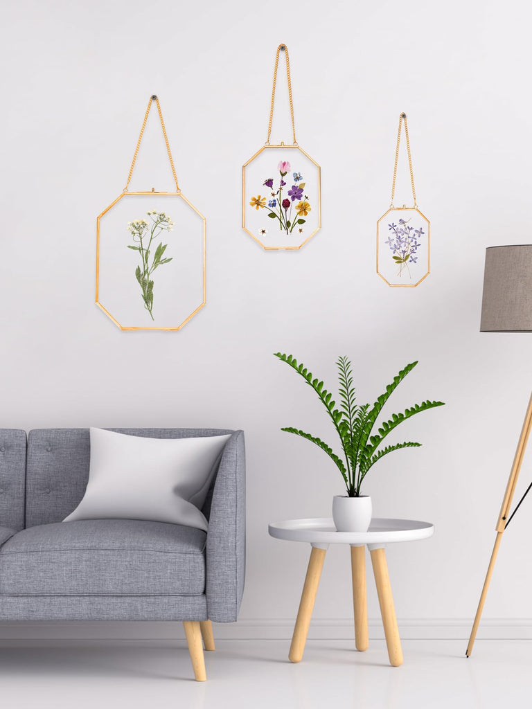 Pressed Flower Frames, Glass Floating Frames for Display Dried Plant Specimen Picture, Hanging Brass Photo Frame with