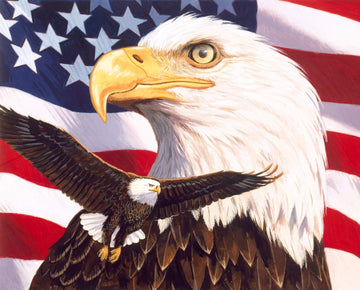 David Textiles American Patriotic Eagle Pride Red/Blue/Brown 35" Panel Premium Quality 100% Cotton by The Panel.
