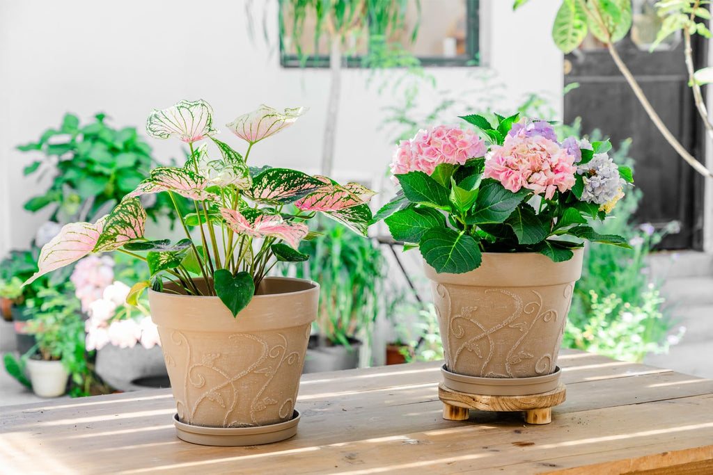 Plant Pots Indoor with Drainage & Saucer, 2Pack 10 inch Flower Pots Outdoor Planters for Indoor Plants Garden Home