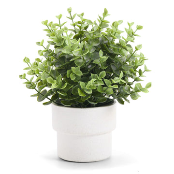 Small Fake Eucalyptus Potted Plants, Plastic Pot