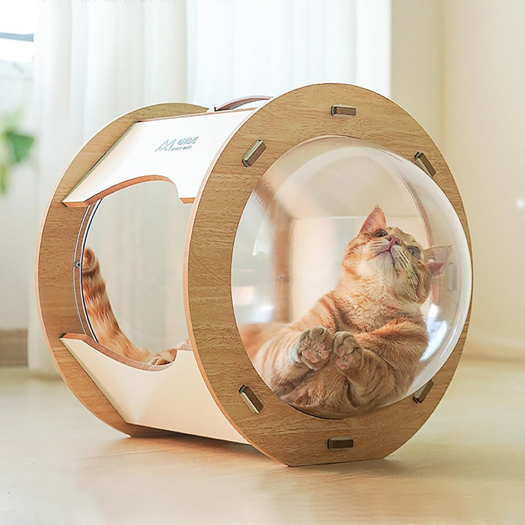 Clear Capsule Cat Bed, 22 lbs Load Freestand Modern Spaceship Space Capsule Scratching Post W/Cushion Transparent