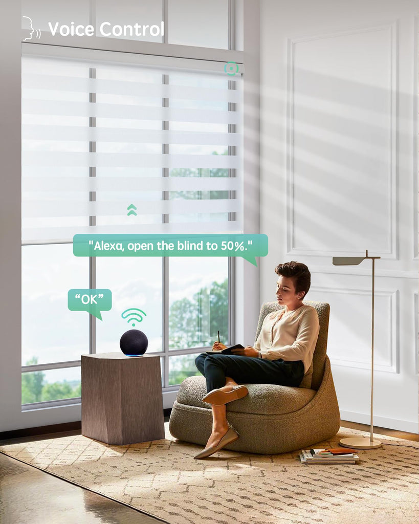 Motorized Zebra Blinds with Remote, Voice Control