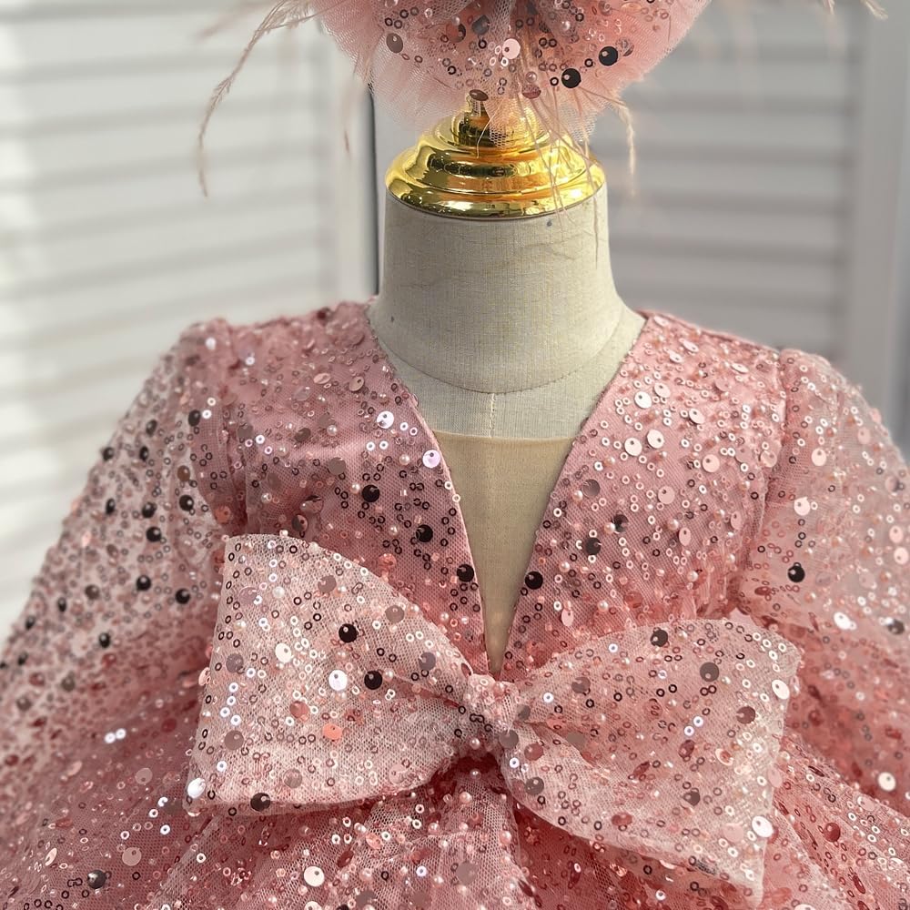 Baby Girl Pageant Dress Sequins Embroidered Lace Toddler Flower Dress