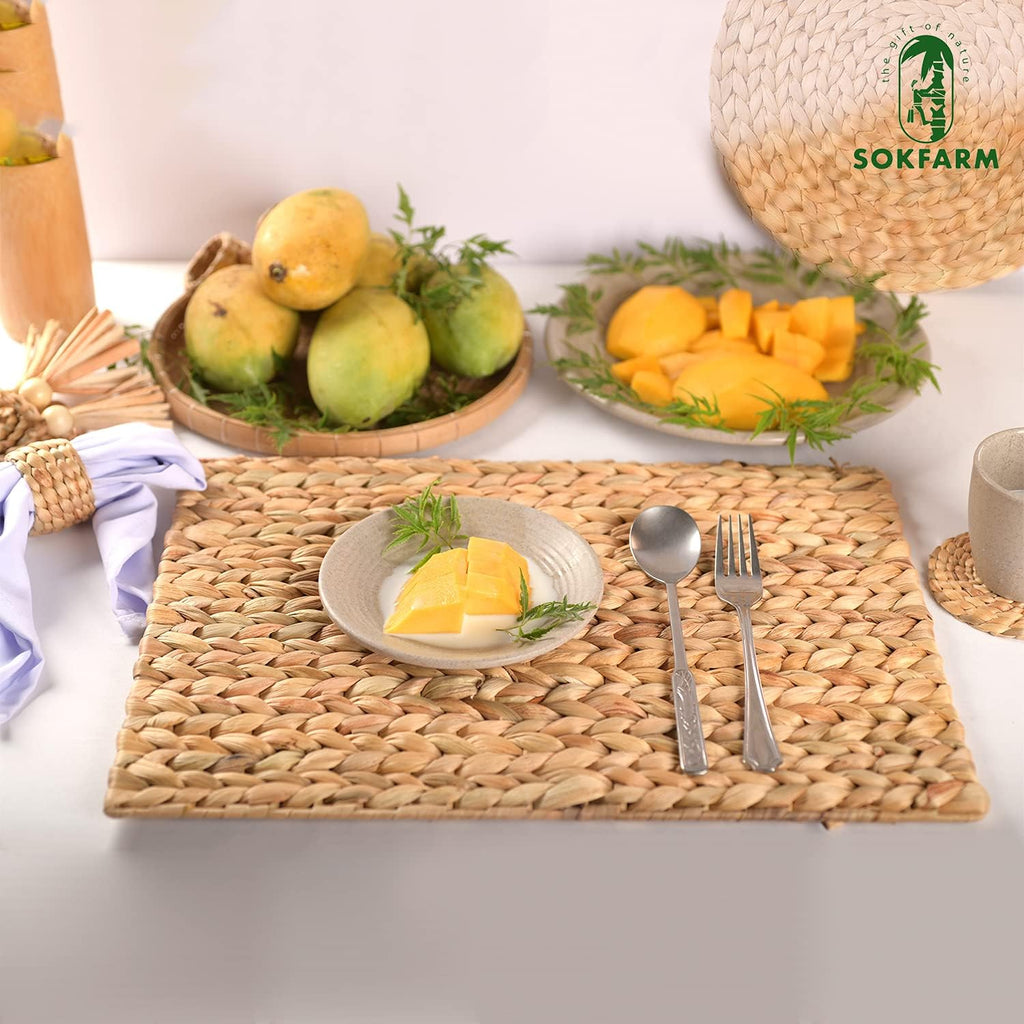 Water Hyacinth Rectangular Placemats, 17 x 12 Inch Woven Rattan Table Mats for Dining Table, Heat Resistant - Set of 6