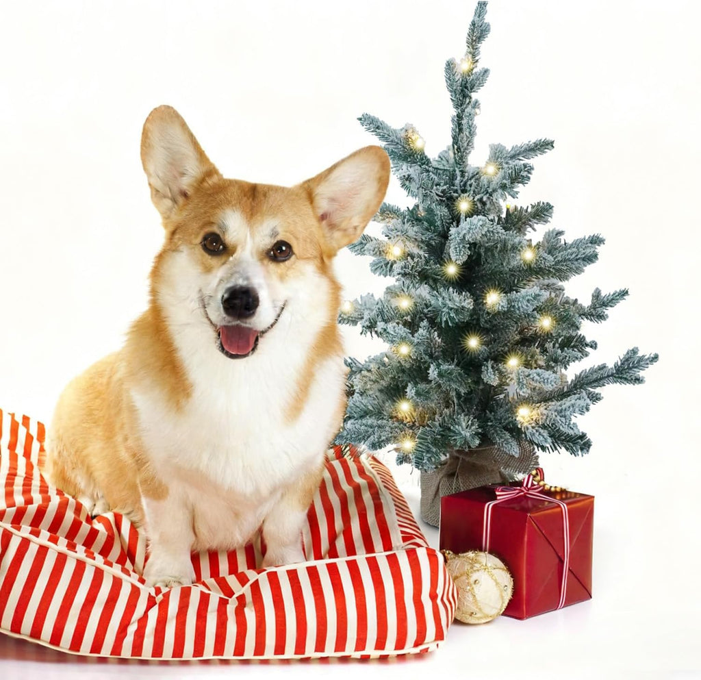 2ft Snow Flocked Pre-Lit Mini Christmas Tree Decorations for Table