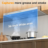 36 Inch Stainless Steel Under Cabinet Range Hood Convertible Ducted/Ductless