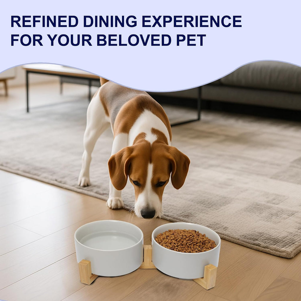 Dog Food Bowl Set, 13.5 oz Ceramic Bowls with Wood Stand, Grey