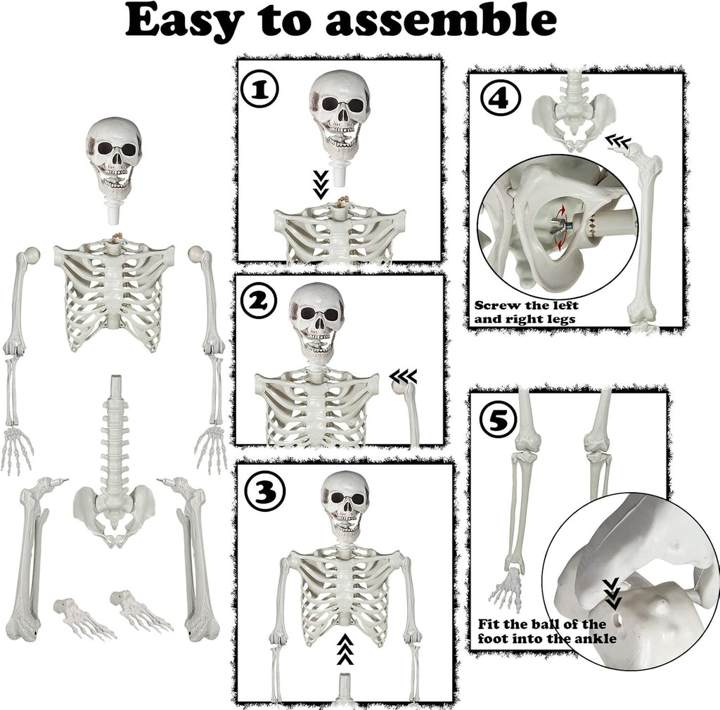 5.9ft Halloween Life Size Skeleton Realistic Full Body Skeletons Plastic Human Bones with Movable Joints