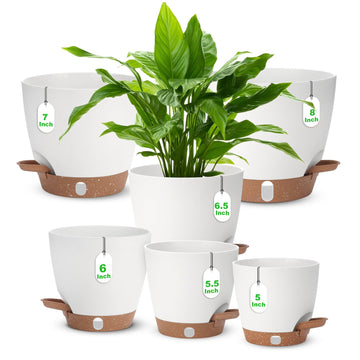 Self Watering Planter with Visual Water Level, 6Pack Small Plastic Pot Set with Drainage Holes and Reservoir Saucers