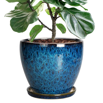 10 Inch Ceramic Planter Pot Round Plant Pot for Indoor Plants Outdoor Large Flower Pot with Drainage Hole and Saucer