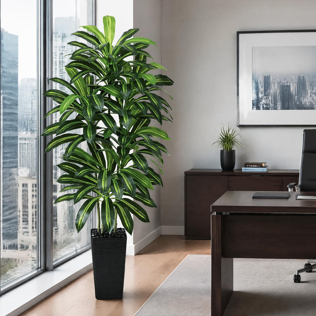 Artificial Dracaena Tree 6FT / Black Planter, Tall Plants Indoor