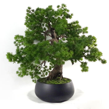 7518 50cm Artificial Pine Bonsai Tree