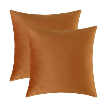 Set of 2 Comfy Soft Thick Velvet Throw Pillow Covers for Sofa Couch, Decorative Solid Square Cushion Cases Car (20 x