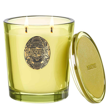 Large Two-Wick Soy Candle | White Tea Sage & Matcha Green | 19.8 oz, 120H Burn Time | Luxury Scented Candle for