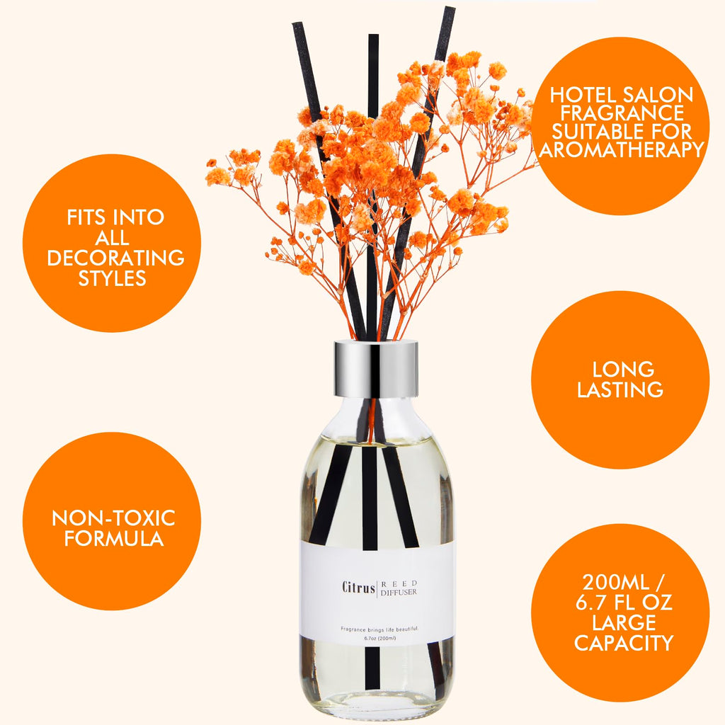Reed Diffuser Set, 6.7 oz Scented Diffuser with Sticks, Home Fragrance Reed Diffuser Shelf Decor