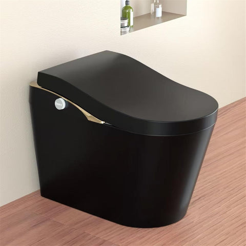 Modern Smart Toilet With Bidet, Auto Open Close, Heated Seat, Automatic Flush, Foam Shield, Warm Water And Dryer