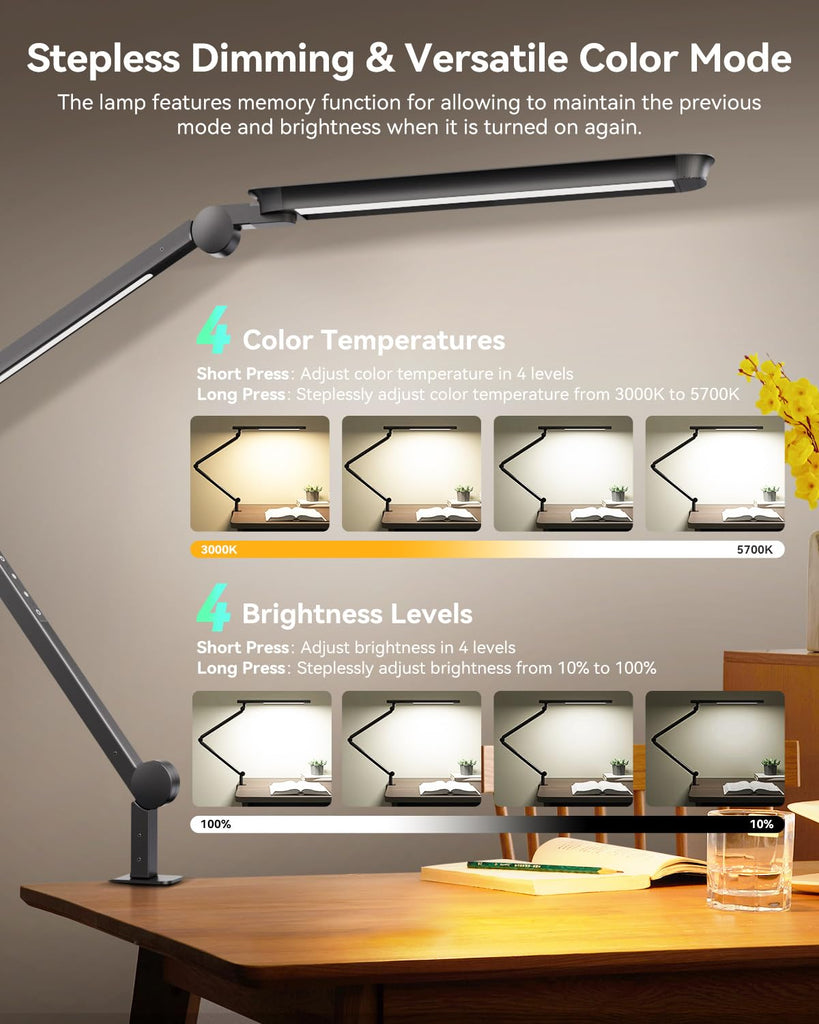 LED Desk Lamp with Clamp, 4CCT Table Lights Puzzle Painting