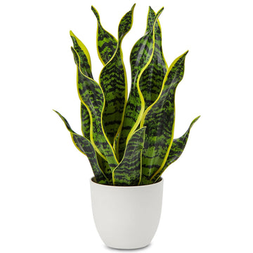Artificial Snake Plant Potted Faux Sansevieria Trifasciata Plants, 16.5" Tropical Fake Snake Plants in White Pots