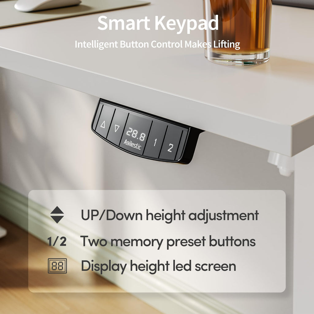 48 * 24 Inch Height Adjustable Electric Standing Desk, White