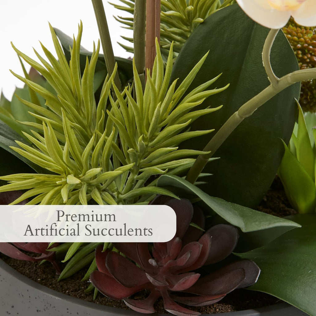 Faux Orchid Plant w/Succulents, 24 in, Grey, Home Decor