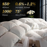 75% Canadian Goose Down Comforter Queen, Ultra Soft 100% Cotton Fabric, 850 Fill Power All Season Du