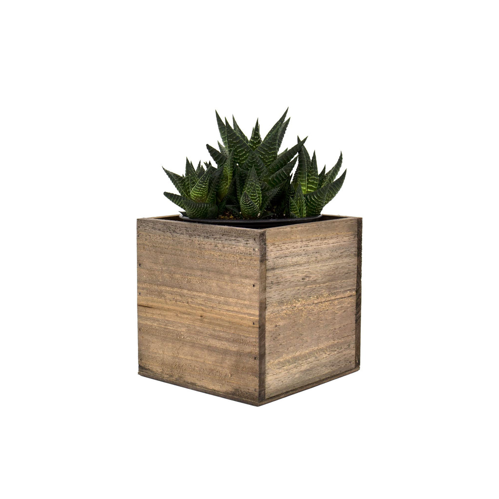 Cube Planter Box with Removable Plastic Liner (5"x5"x5")(4 PCS) | Multiple Size Choices Wood Square Planter | Indoor