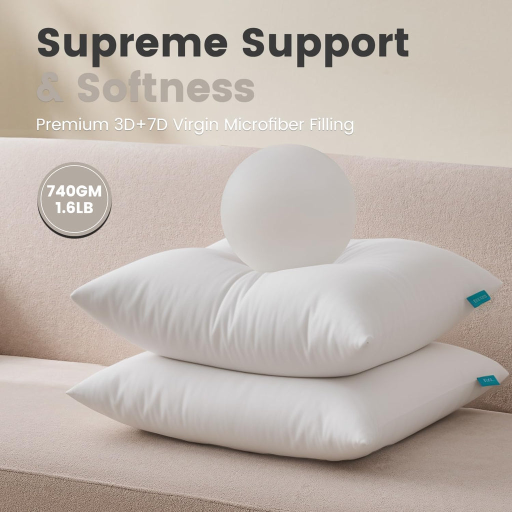 20x20 Pillow Inserts, 2 Pack Down Alternative Throw Pillow Inserts - Set of 2