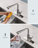 Kitchen Faucets with Pull Down Sprayer, Brushed Nickel Stainless Steel