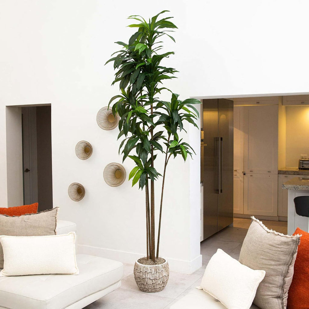 10ft. Artificial Dracaena Tree with Real Touch Leaves